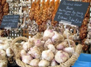 garlic-festival-bulbs