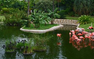 jungle_island_in_m_galleryfull