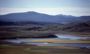 2892_355_Hayden_Valley_Yellowstone_md