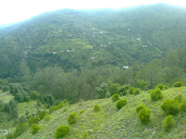 Almora